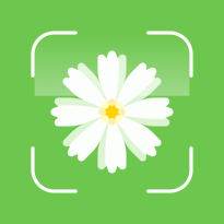 Plant ID - Plant Identification App